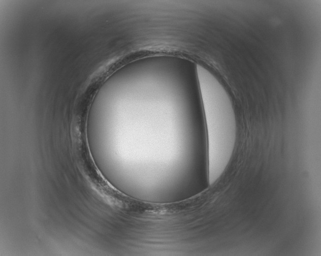 X0000081600688200701151054