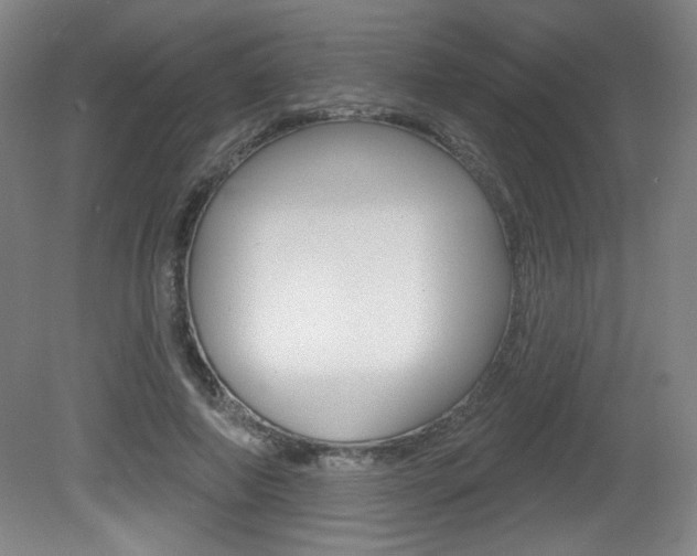 X0000081600690200701151054