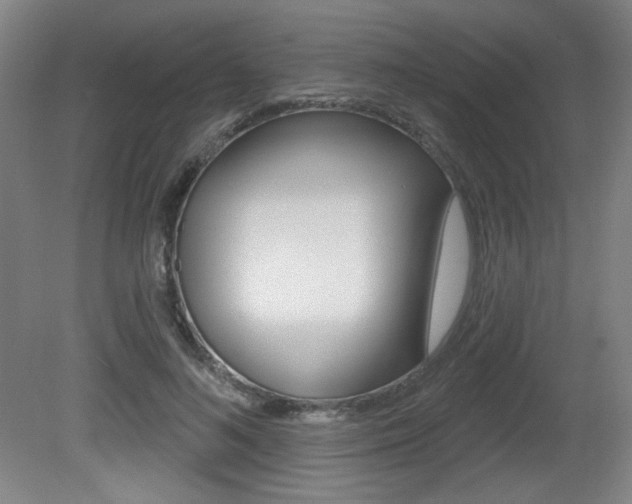 X0000081600692200701151054