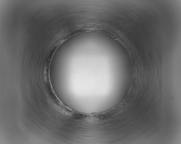 X0000081600696200701151054
