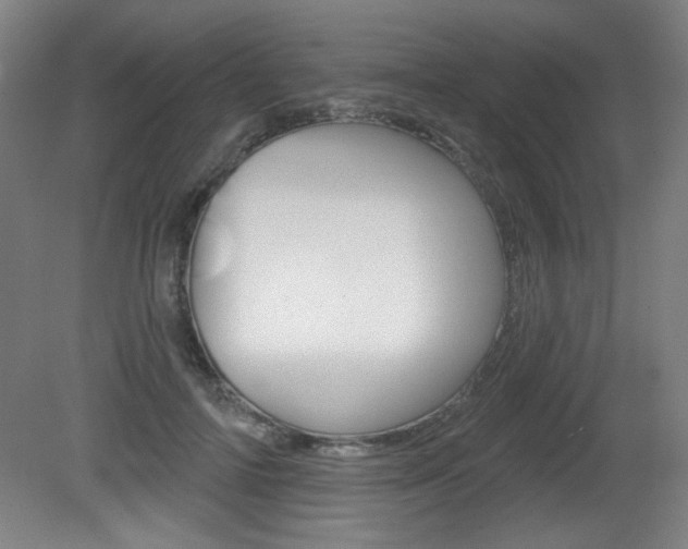 X0000081600698200701151054