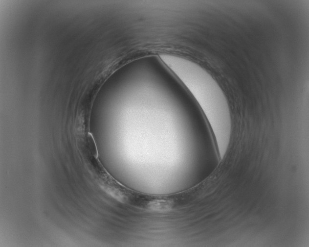 X0000081600700200701151054
