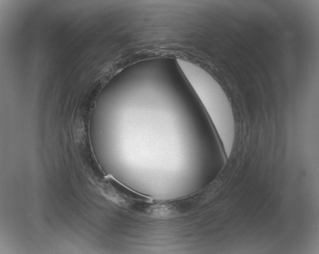 X0000081600704200701151054