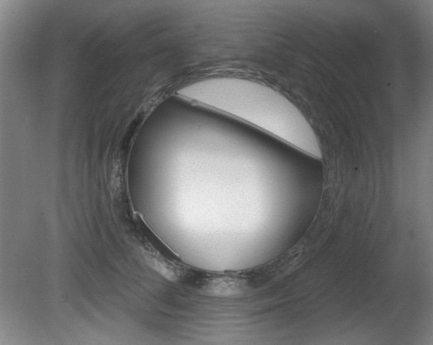 X0000081600708200701151054
