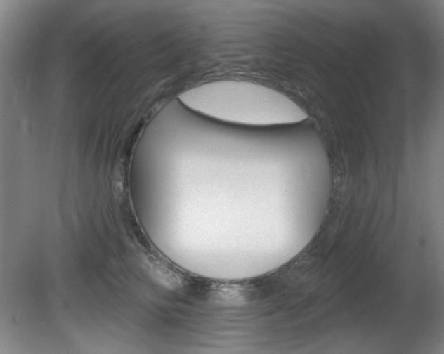 X0000081600710200701151054