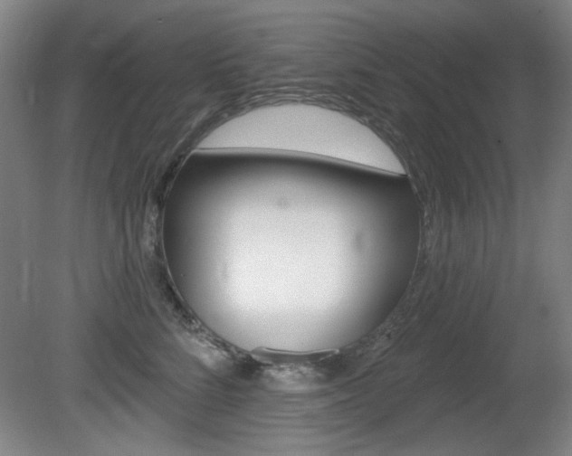 X0000081600712200701151054