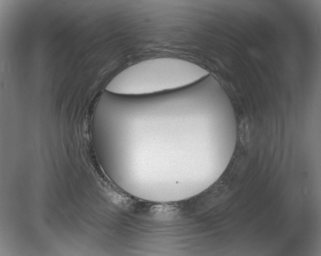 X0000081600714200701151054