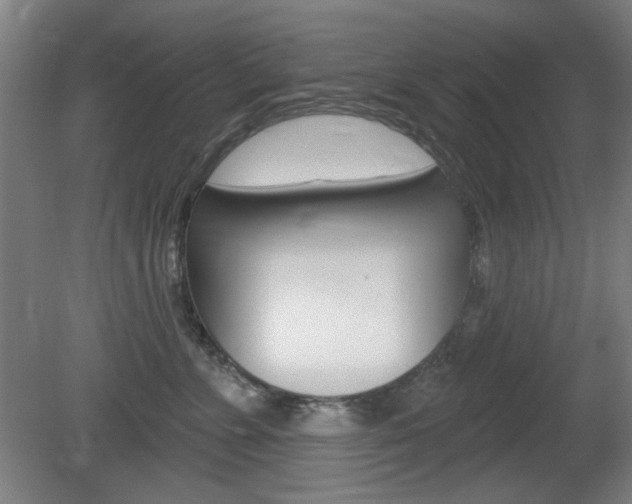 X0000081600715200701151054