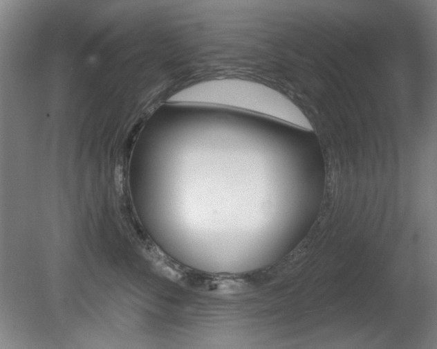 X0000081600716200701151054