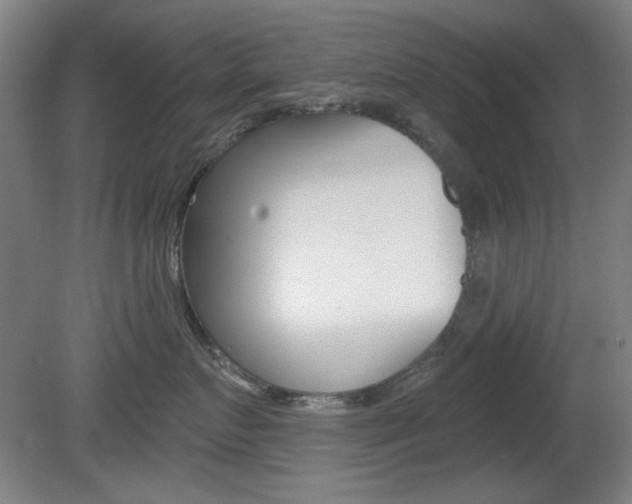 X0000081600719200701151054