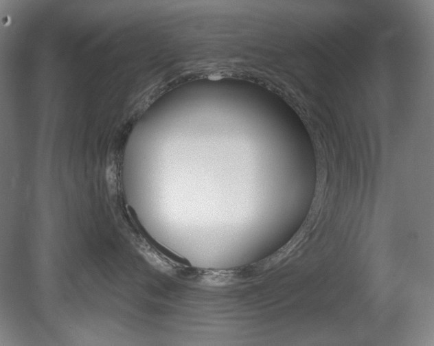 X0000081600720200701151054