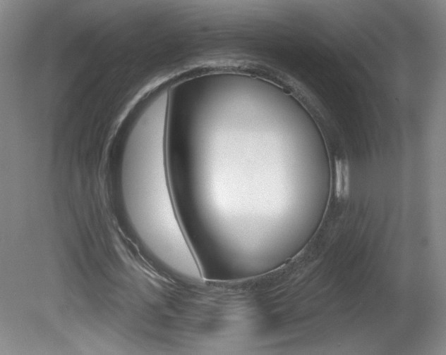 X0000081600723200701151053