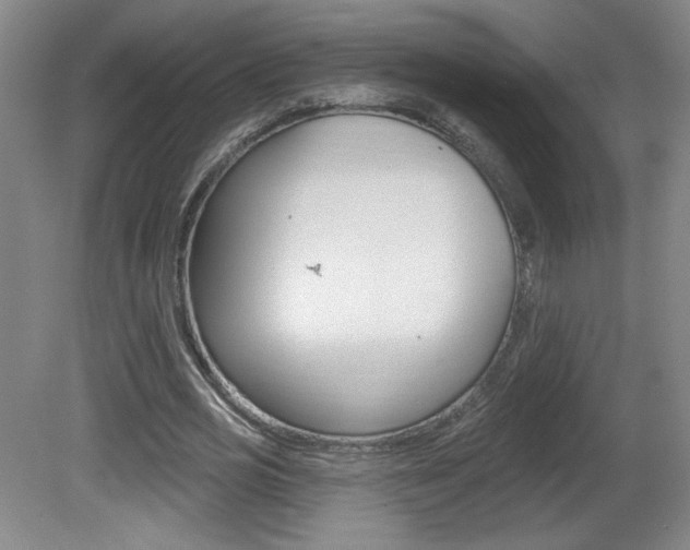 X0000081600725200701151053