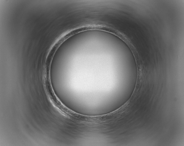 X0000081600726200701151053