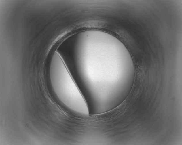 X0000081600727200701151053