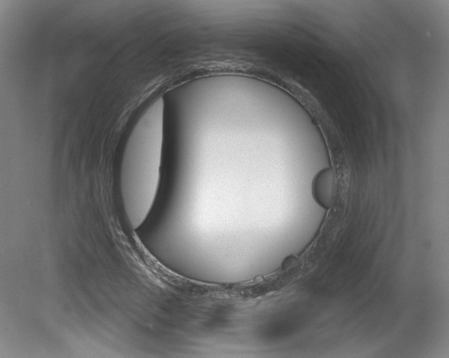 X0000081600729200701151053