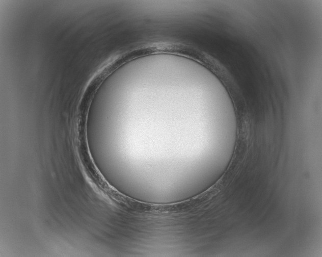 X0000081600730200701151053