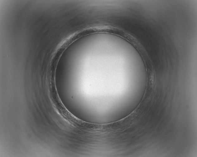 X0000081600732200701151053