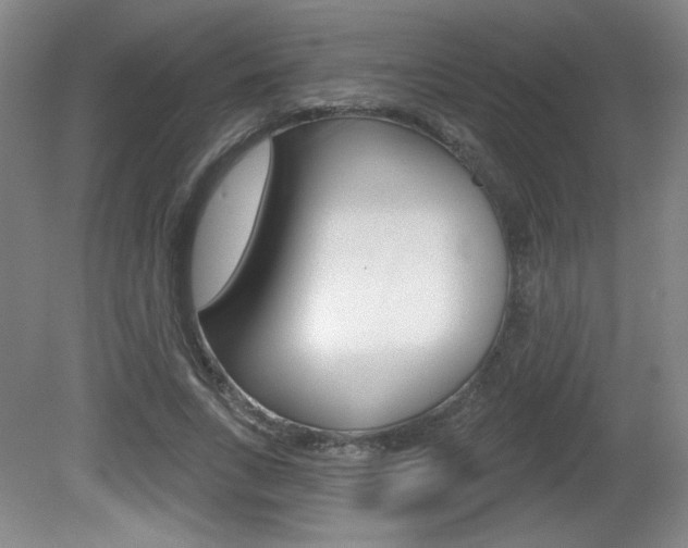 X0000081600735200701151053