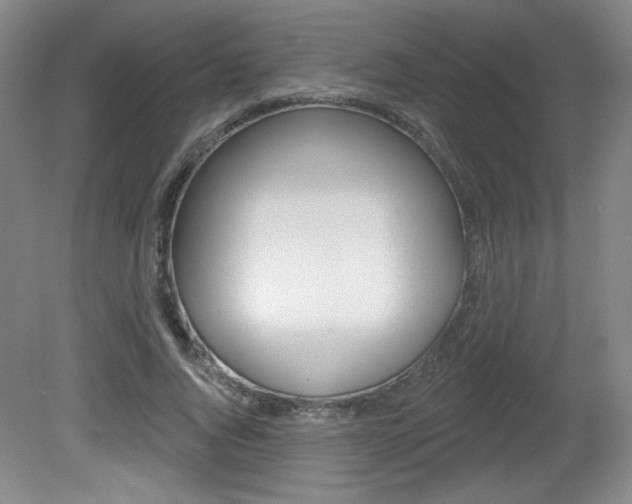 X0000081600736200701151053