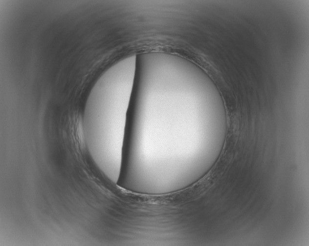 X0000081600737200701151053