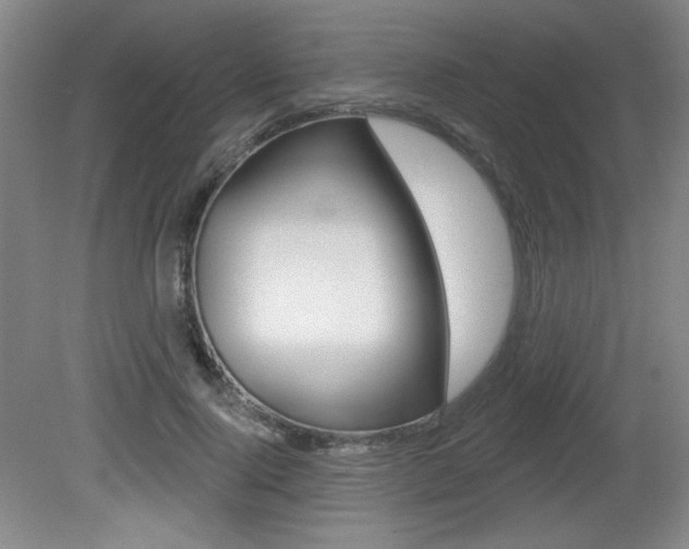 X0000081600740200701151053