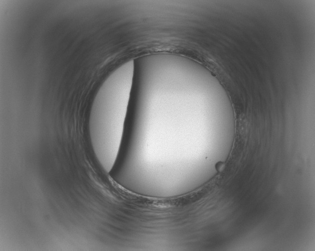 X0000081600741200701151053