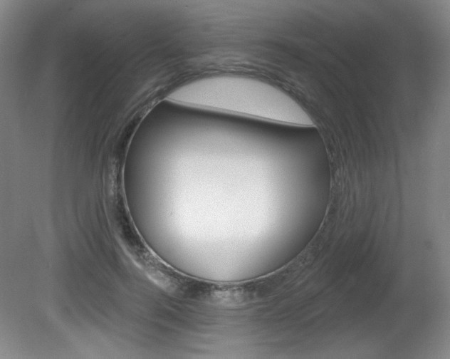 X0000081600744200701151053