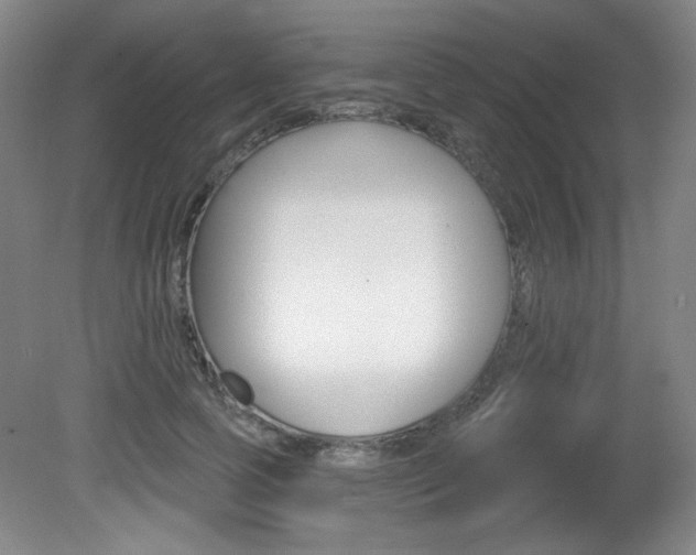 X0000081600745200701151053
