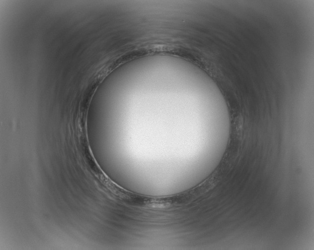 X0000081600746200701151053