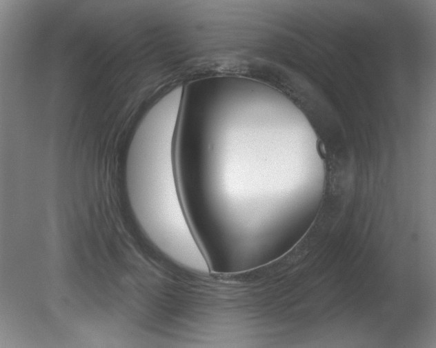 X0000081600748200701151053