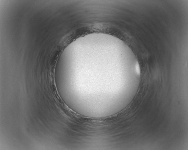 X0000081600749200701151053