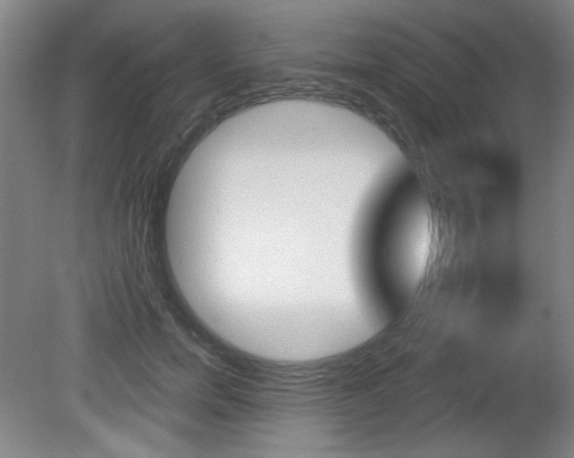 X0000081600750200701151053