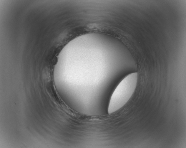 X0000081600751200701151053