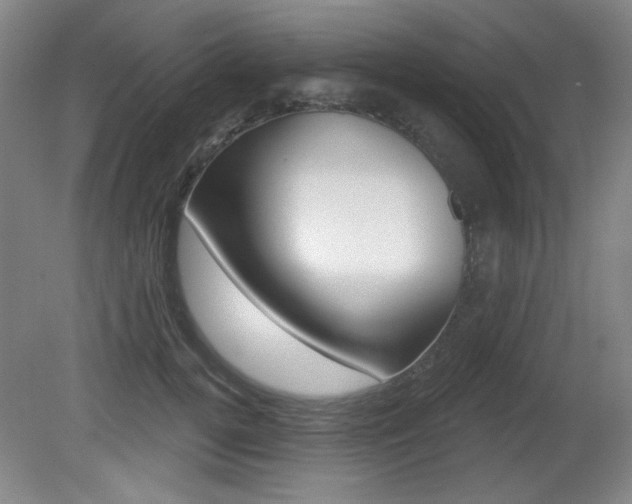 X0000081600752200701151053