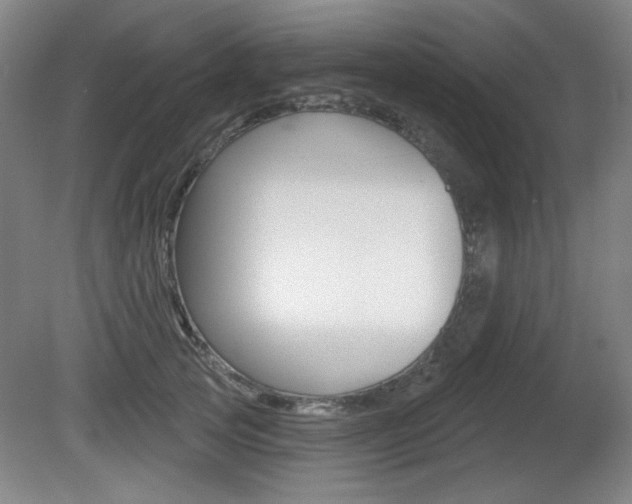 X0000081600753200701151053