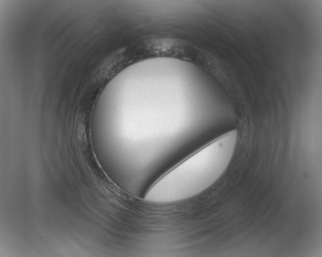 X0000081600754200701151053
