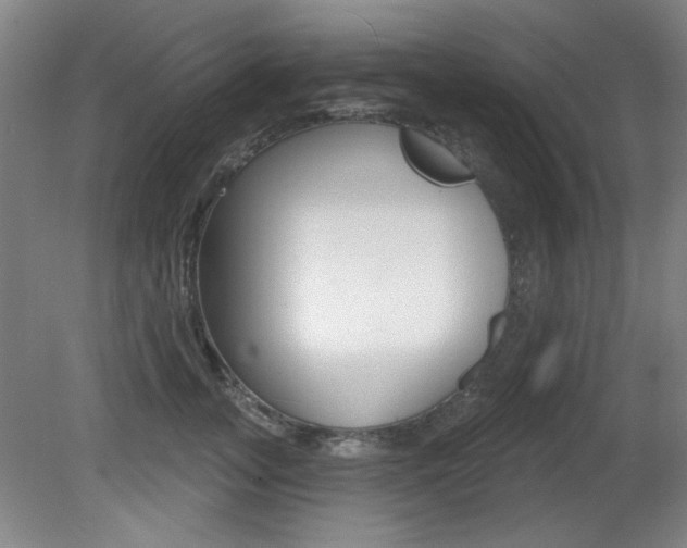 X0000081600755200701151053