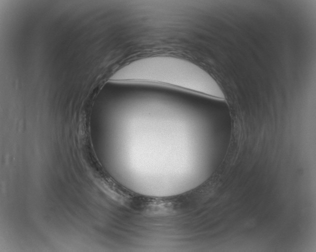 X0000081600760200701151053