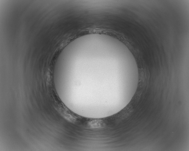 X0000081600761200701151053
