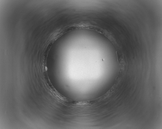 X0000081600762200701151053