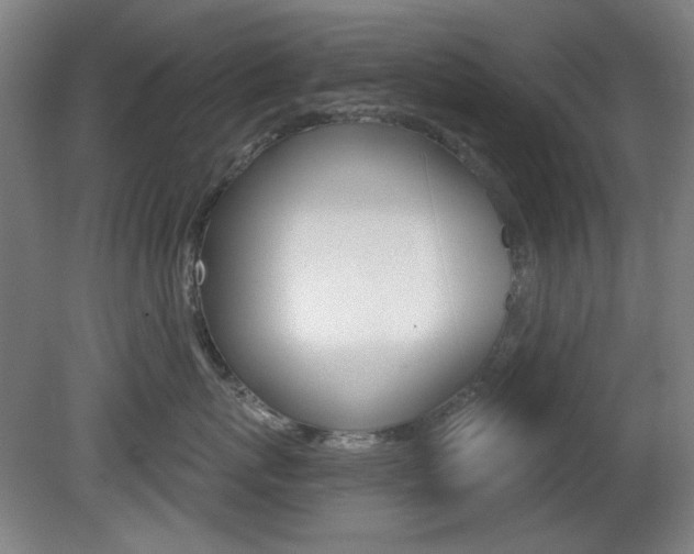 X0000081600767200701151054