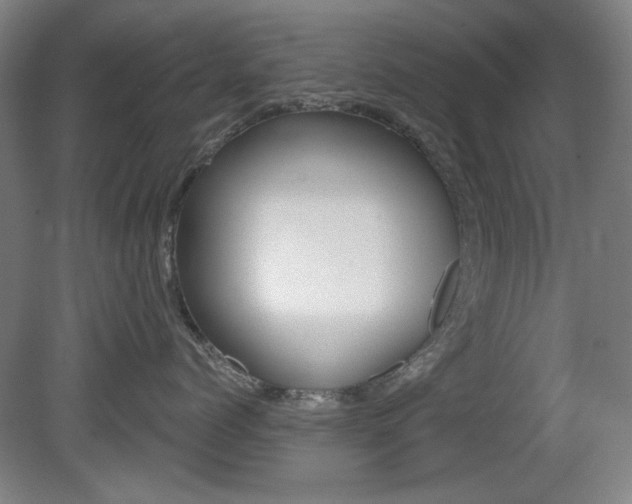X0000081600768200701151054