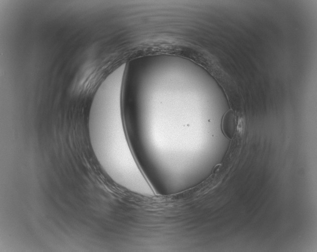 X0000081600771200701151053