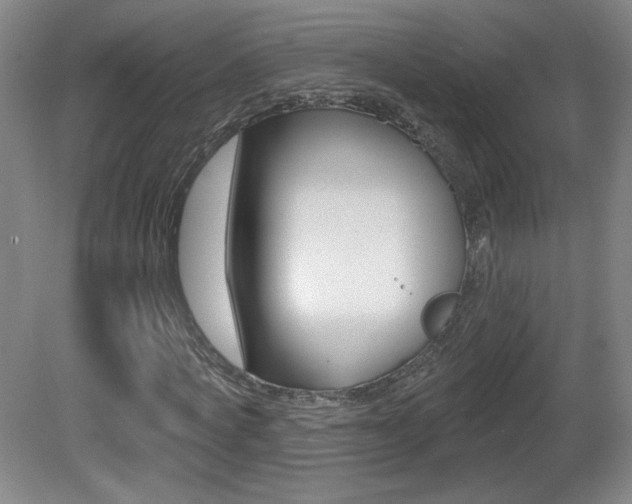 X0000081600772200701151053