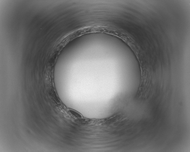 X0000081600773200701151053