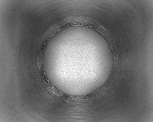 X0000081600774200701151053