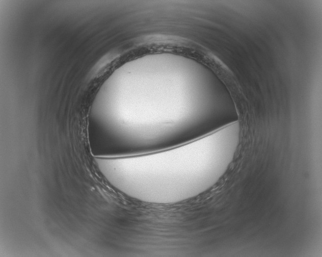 X0000081600775200701151053