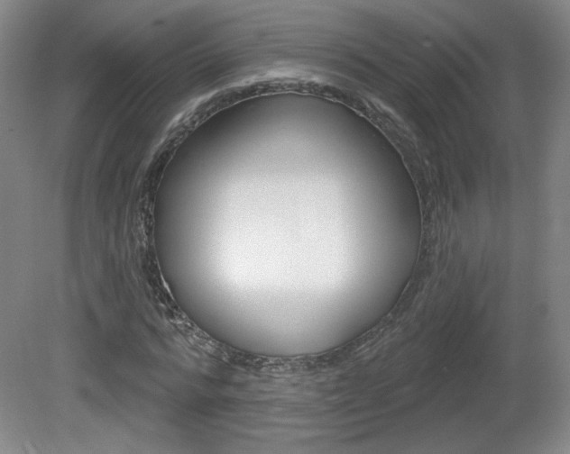 X0000081600776200701151053