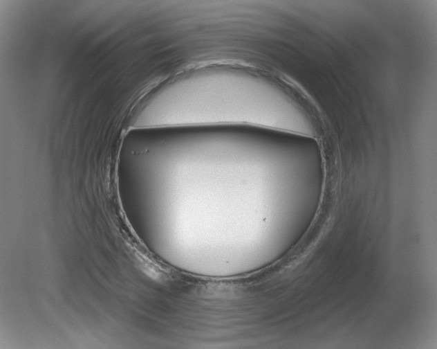 X0000081600777200701151053